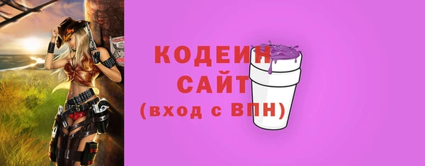индика Баксан