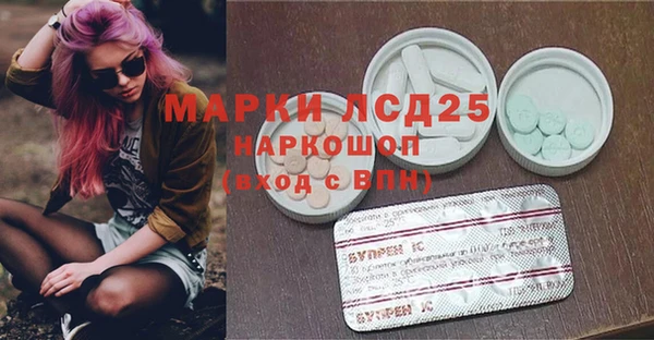 индика Баксан