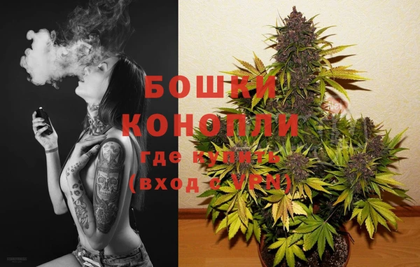 твердый Белокуриха