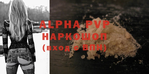 индика Баксан